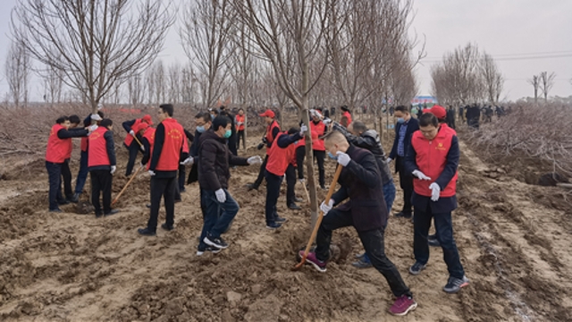 栽下樹(shù)苗，留下新綠