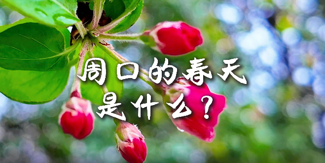 周口的春天，待你慢慢遇見